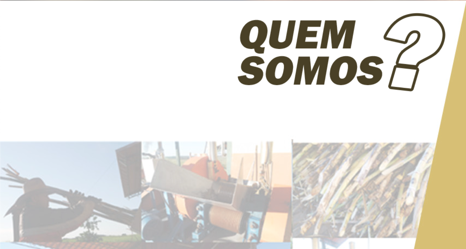 Quem Somos